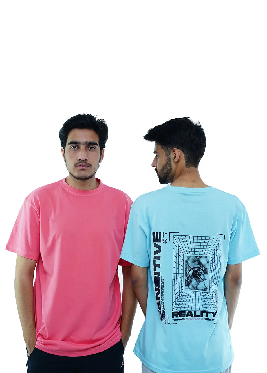 Men's 2-Pack Regular Fit 100% Cotton Aesthetic T-Shirts
